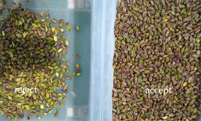 Wenyao Hoog effici&euml;nte geavanceerde optische kleur sorteermachine Pistachio kleur sorteermachine 6