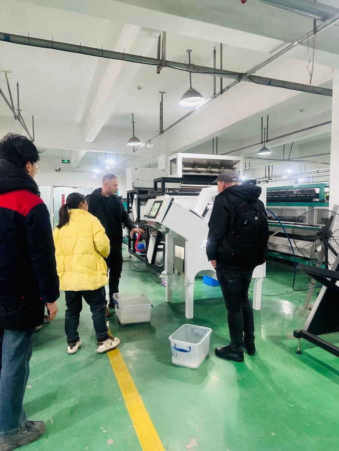 WENYAO 2025 Nieuw product lanceren 304/316L Hoog nauwkeurige CCD Rots zout deeltjes Kleur Sorter 10