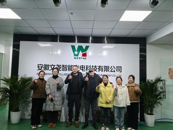 WENYAO 2025 Nieuw product lanceren 304/316L Hoog nauwkeurige CCD Rots zout deeltjes Kleur Sorter 13
