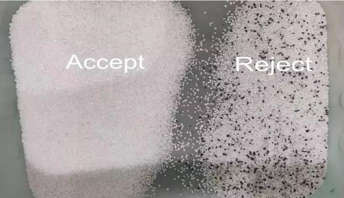 Weanyao 10 Chute Grote capaciteit 304 316 roestvrij staal Intelligente kleur sorteermachine voor zout 4