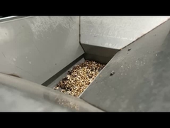 Candle Nut Sorting Machine Candle Nut Processing Line Goedkwaliteit Kleur Sorter Voor Candlenut