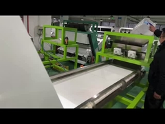 Groenten sorteermachine van 3 t / h, gedroogde rode chili kleur sorteermachine