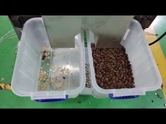 Sacha Inchi kleur sorter