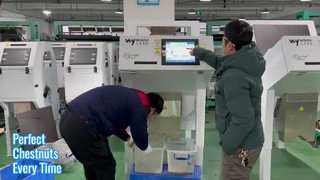 Kastanje Kleur Sorter